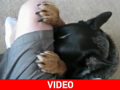 Σκυλίσια προσευχή